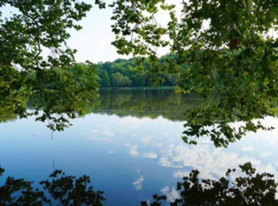 Beautiful Luxury Vacation Nashville